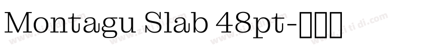 Montagu Slab 48pt字体转换